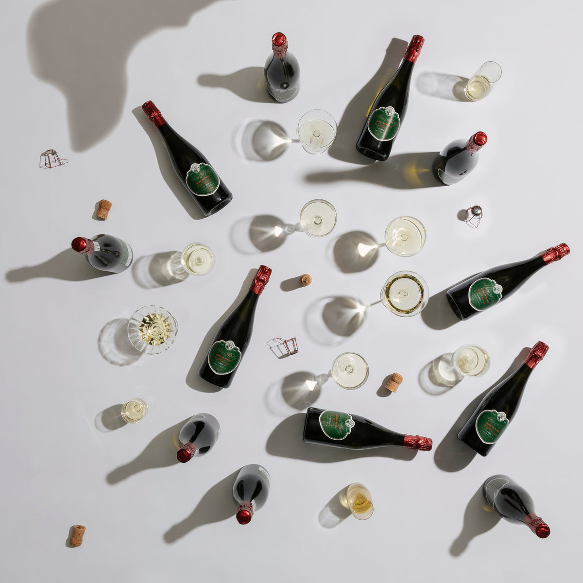 Blanc de Blancs &#39;21 | 6 Bottle Box Edition